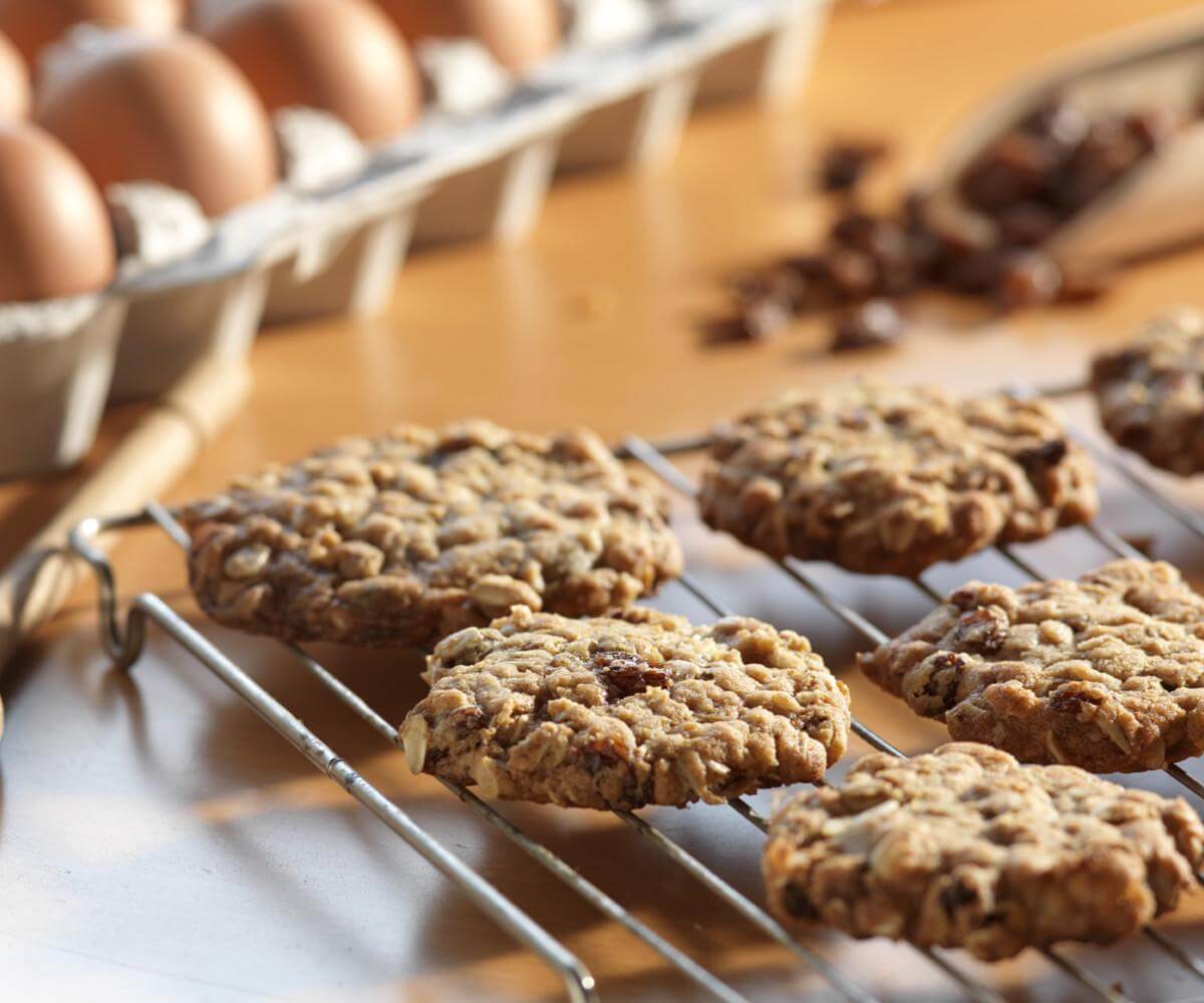 Oatmeal Raisin Cookies 