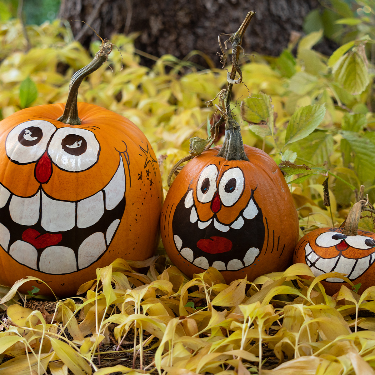 5 Easy Ways to Decorate a Pumpkin | Tasty Rewards